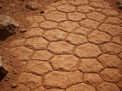 Curiosity Rover Detects Extensive Polygon Patterns in Martian Valley Science.Report