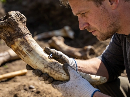 Ancient DNA Reveals Sex Bias in Ice Age Mammoth Hunting Science.Report