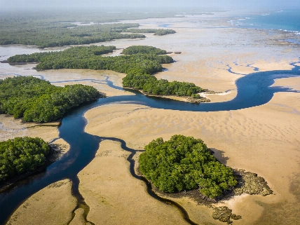 Guinea-Bissau's Islands Expand and Shrink with the Tides Science.Report