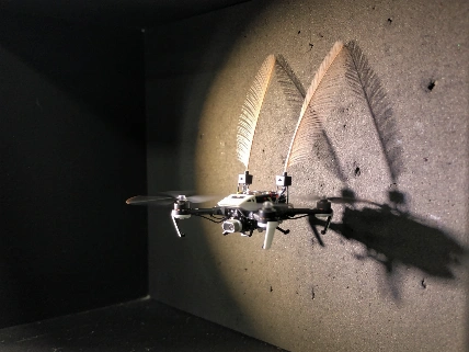 Tiny Drones Navigate Dark Spaces With Artificial Whiskers Science.Report