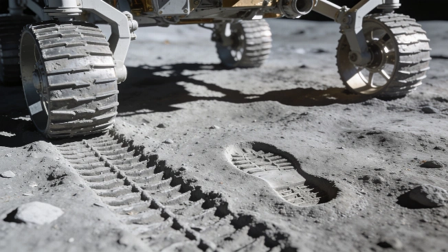 Study Finds Some Terrestrial Microbes Could Survive on the Moon Science.Report