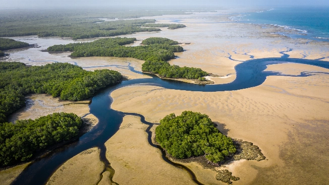 Guinea-Bissau's Islands Expand and Shrink with the Tides Science.Report