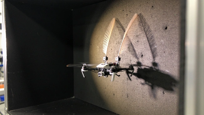 Tiny Drones Navigate Dark Spaces With Artificial Whiskers Science.Report